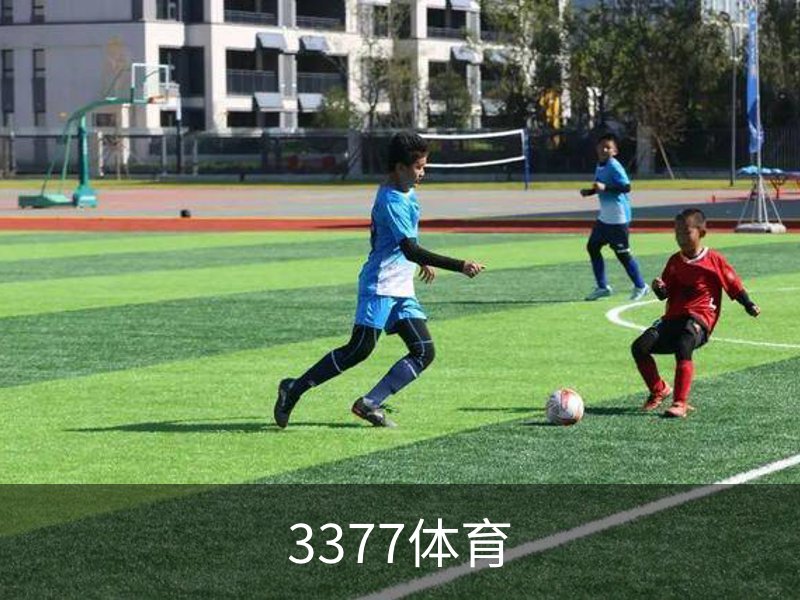 3377体育概况